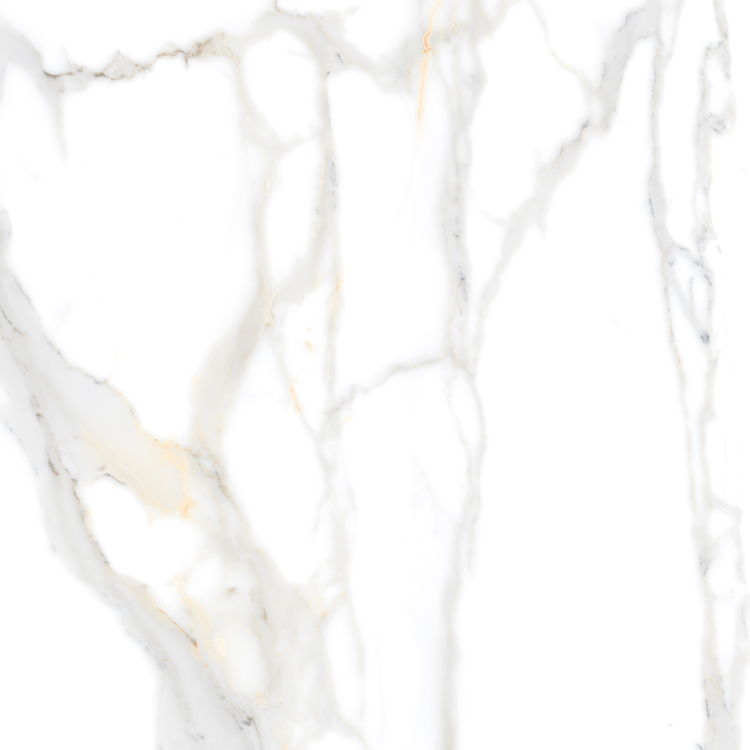 Matrix Statuario Fantasia Matte 24 x 24